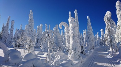 kuusamo