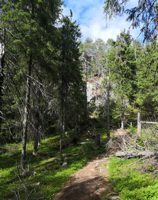 img_20200705_160252-1